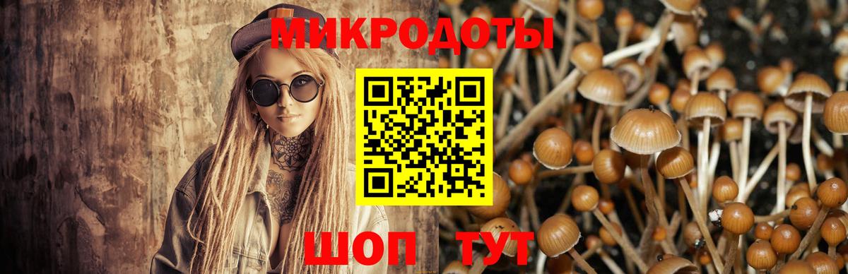 Галлюциногенные грибы Psilocybine cubensis Кыштым